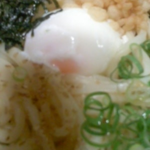 温玉のっけ☆たぬきワカメうどん